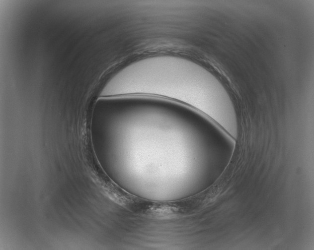 X0000083650407200702120841