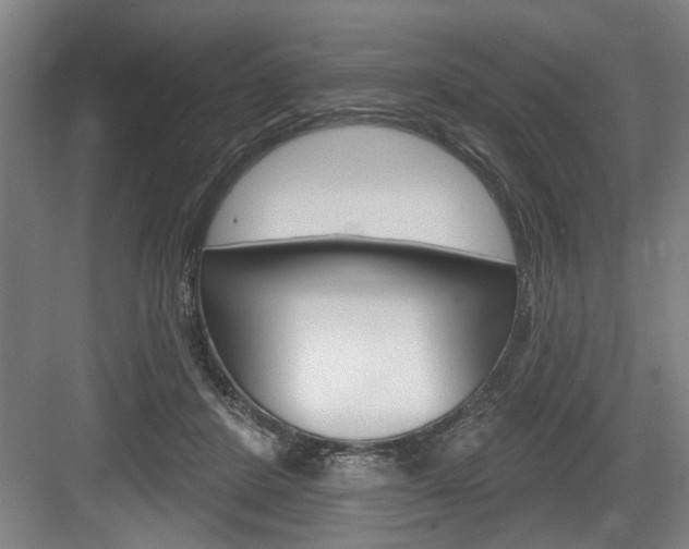 X0000083650408200702120841