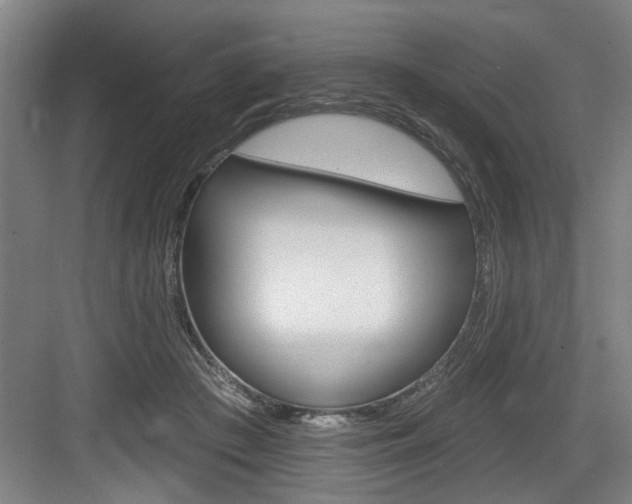 X0000083650409200702120841
