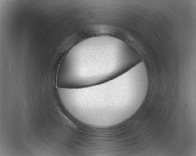X0000083650410200702120841