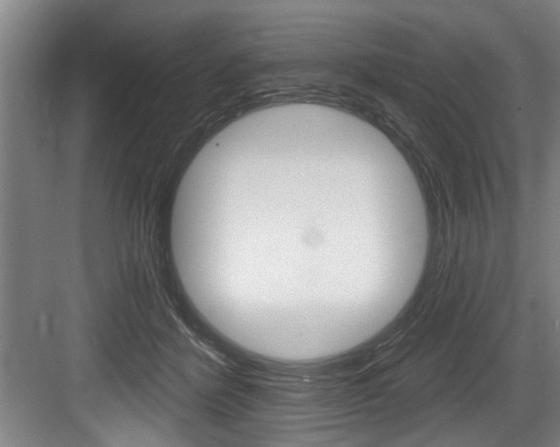 X0000083650412200702120841