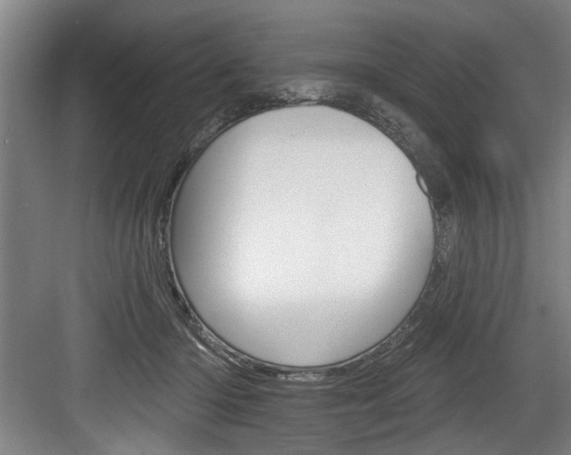 X0000083650414200702120841