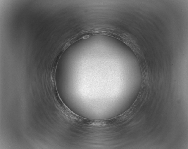 X0000083650415200702120841