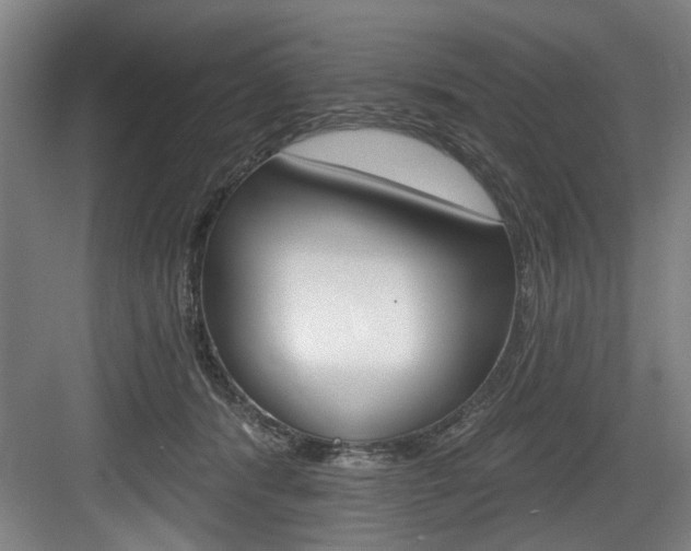 X0000083650416200702120841