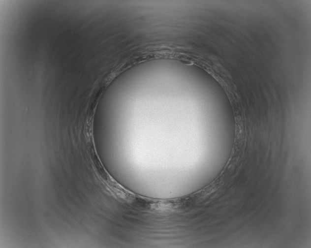 X0000083650419200702120841