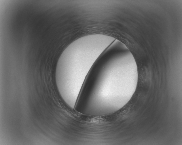 X0000083650420200702120841