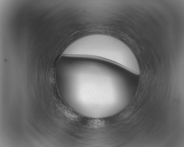 X0000083650421200702120841