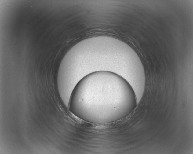 X0000083650423200702120841