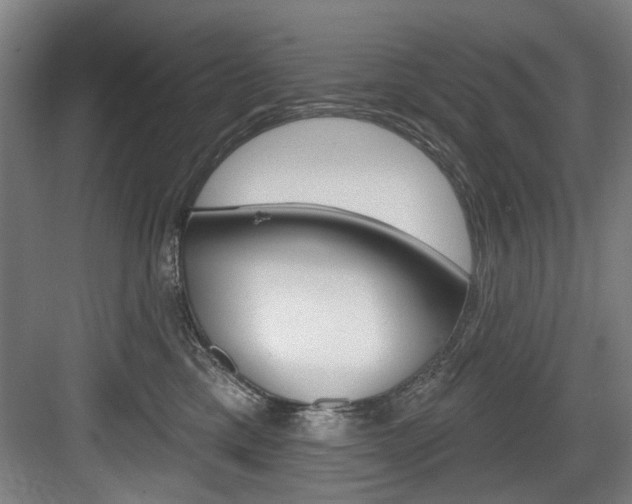 X0000083650425200702120841