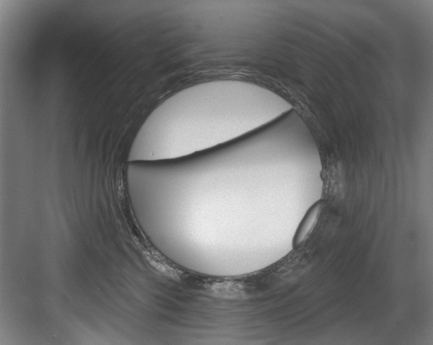 X0000083650426200702120841