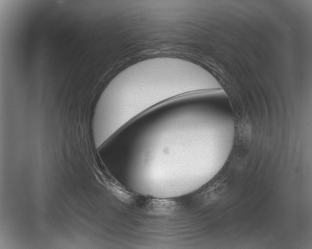 X0000083650429200702120841