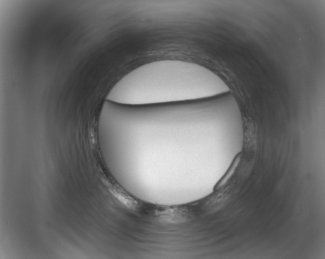 X0000083650430200702120841