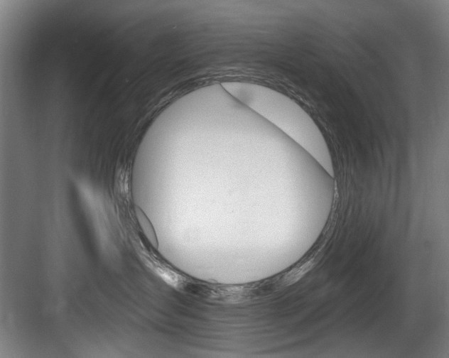 X0000083650431200702120841