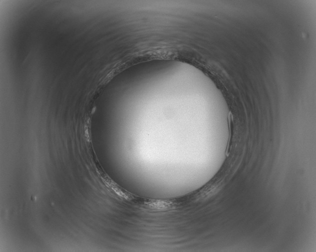 X0000083650432200702120841