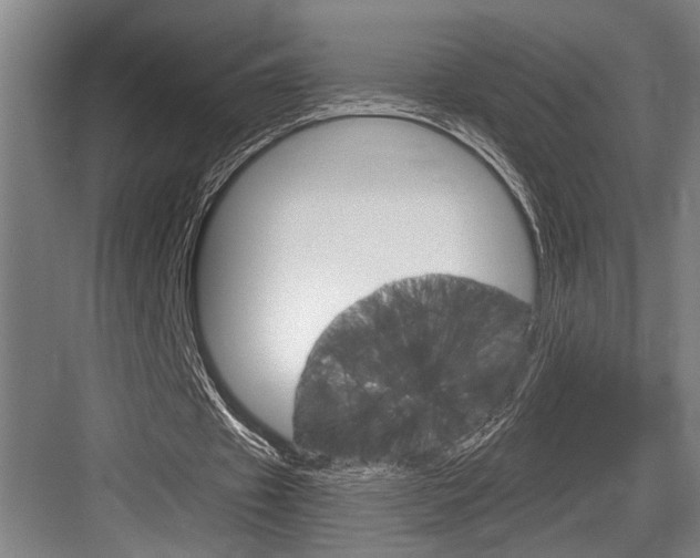 X0000083650433200702120840