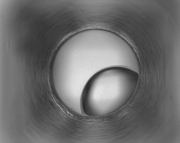 X0000083650434200702120840