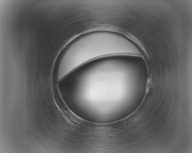 X0000083650436200702120840