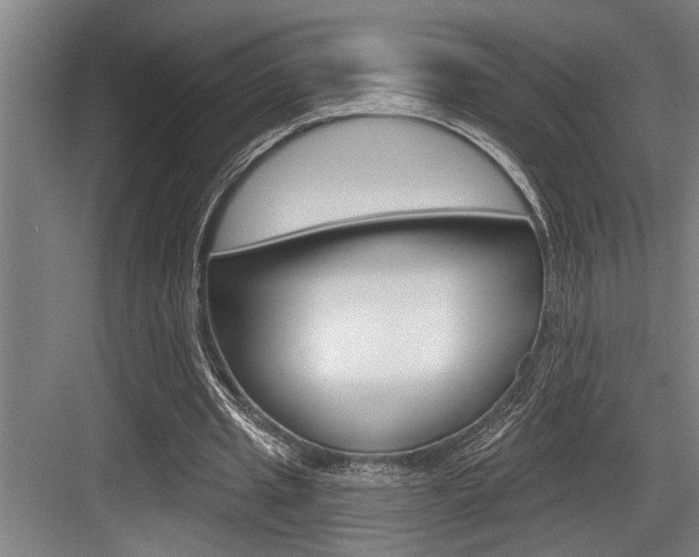 X0000083650437200702120840