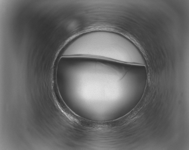 X0000083650438200702120840