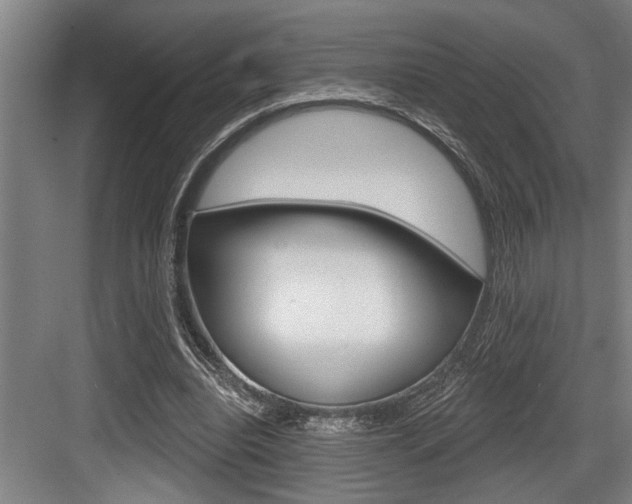 X0000083650440200702120840
