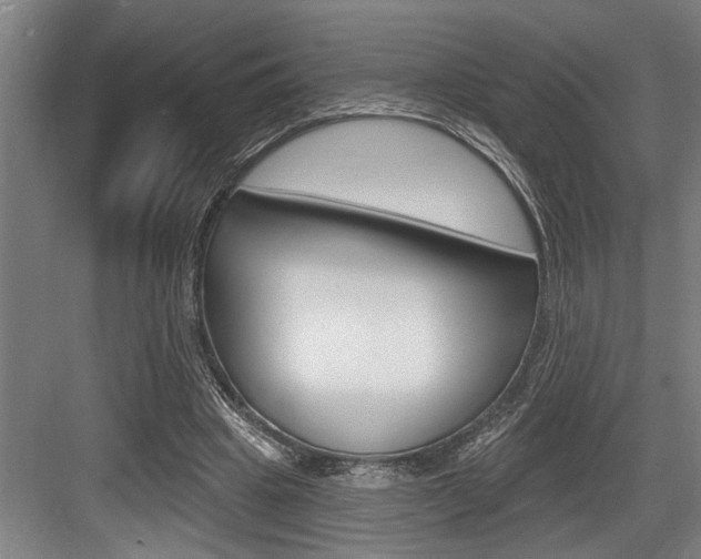 X0000083650441200702120840