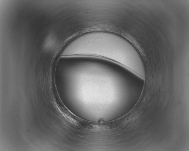 X0000083650442200702120840