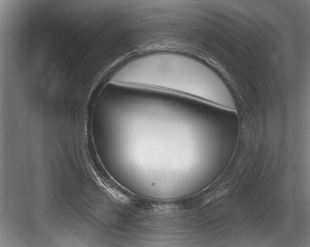 X0000083650446200702120840