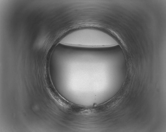 X0000083650447200702120840