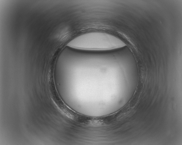 X0000083650451200702120840