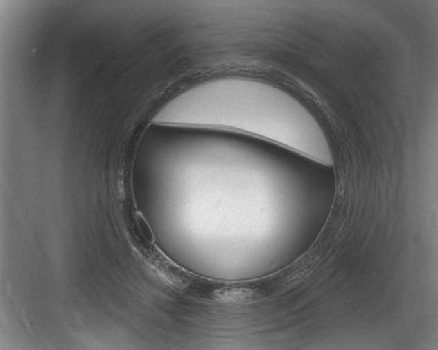 X0000083650452200702120840