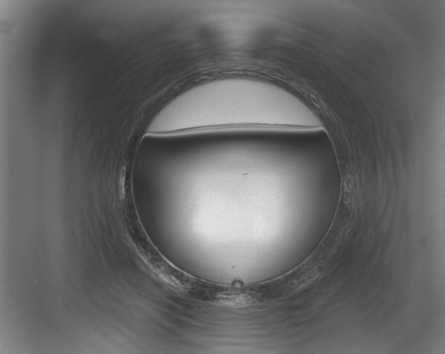 X0000083650454200702120840