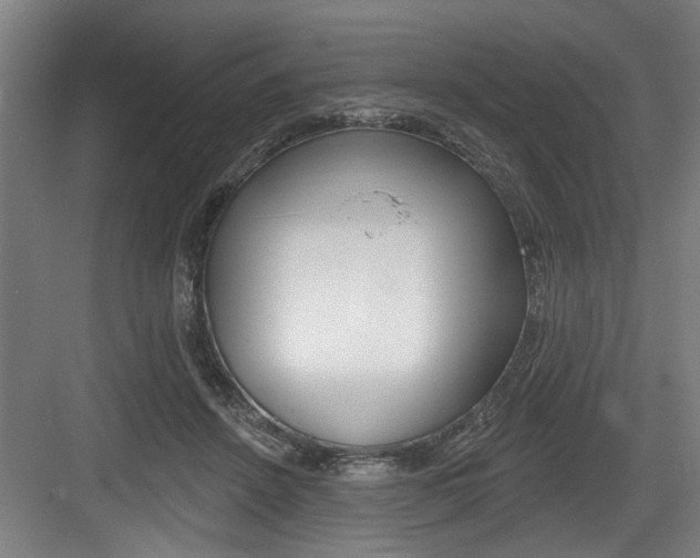 X0000083650456200702120840