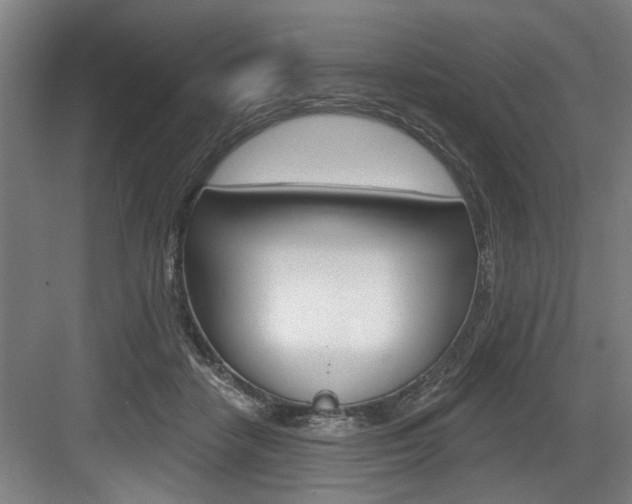 X0000083650458200702120841