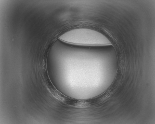 X0000083650459200702120841