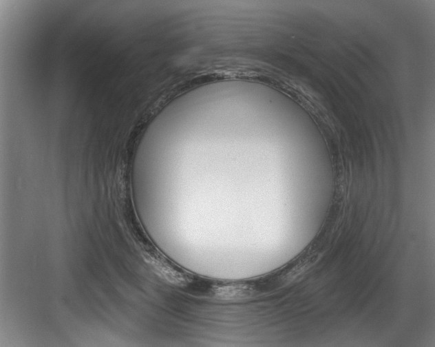X0000083650461200702120841