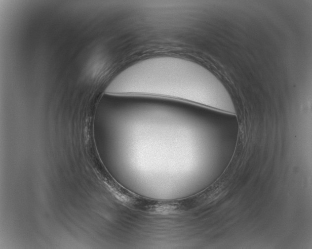 X0000083650462200702120841