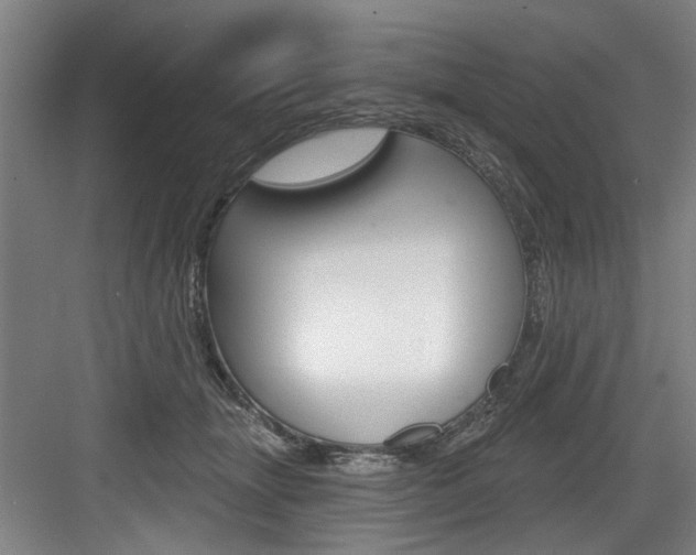X0000083650463200702120841