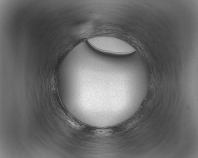 X0000083650465200702120841