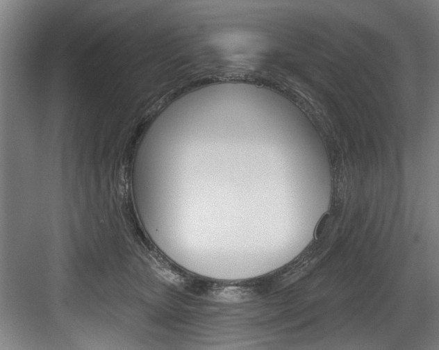 X0000083650467200702120841