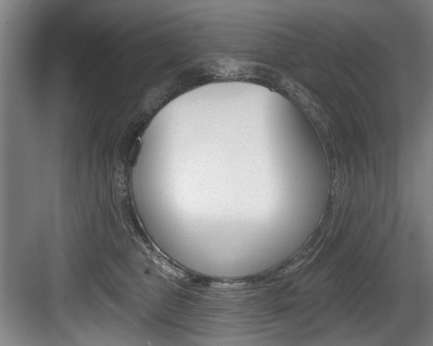 X0000083650469200702120841