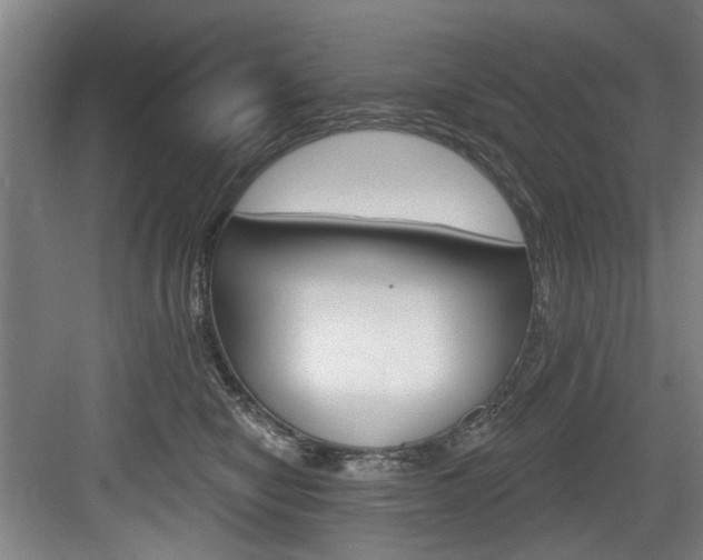 X0000083650470200702120841