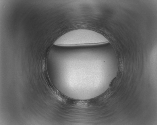 X0000083650471200702120841