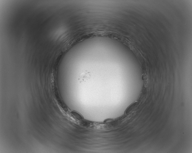 X0000083650472200702120841