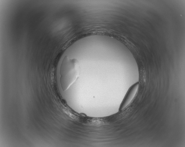 X0000083650475200702120841