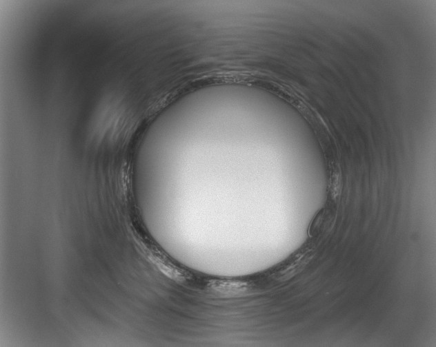 X0000083650476200702120841