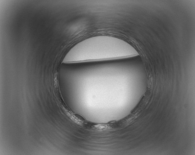 X0000083650477200702120841