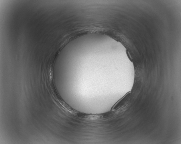 X0000083650479200702120841