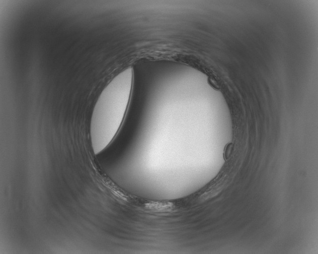 X0000083650480200702120841