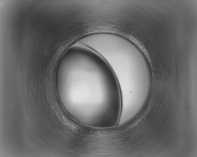 X0000083650481200702120840