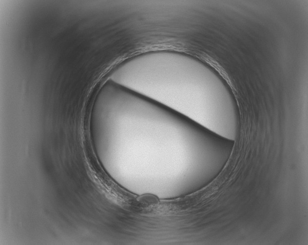 X0000083650482200702120840